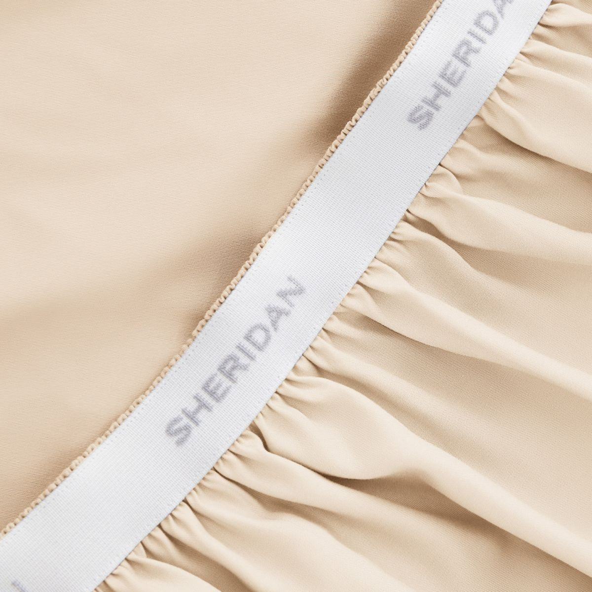1000 TC Pillowcase in Champagne