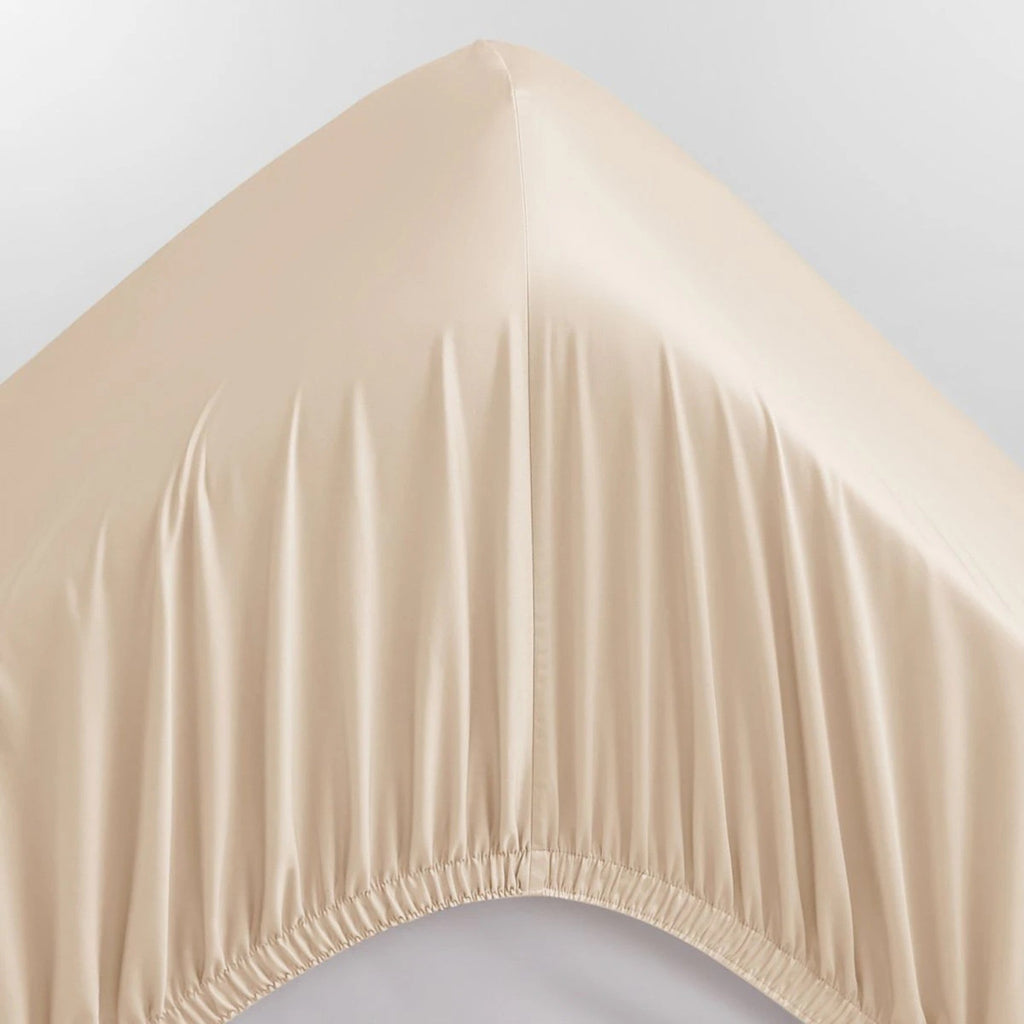 1000 TC Pillowcase in Champagne